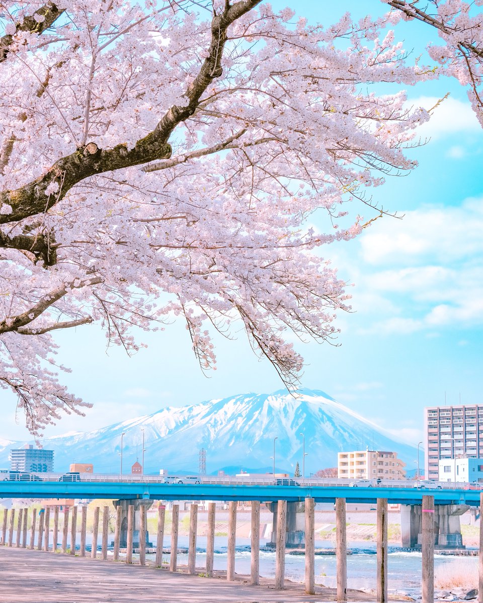 春の木漏れ日。