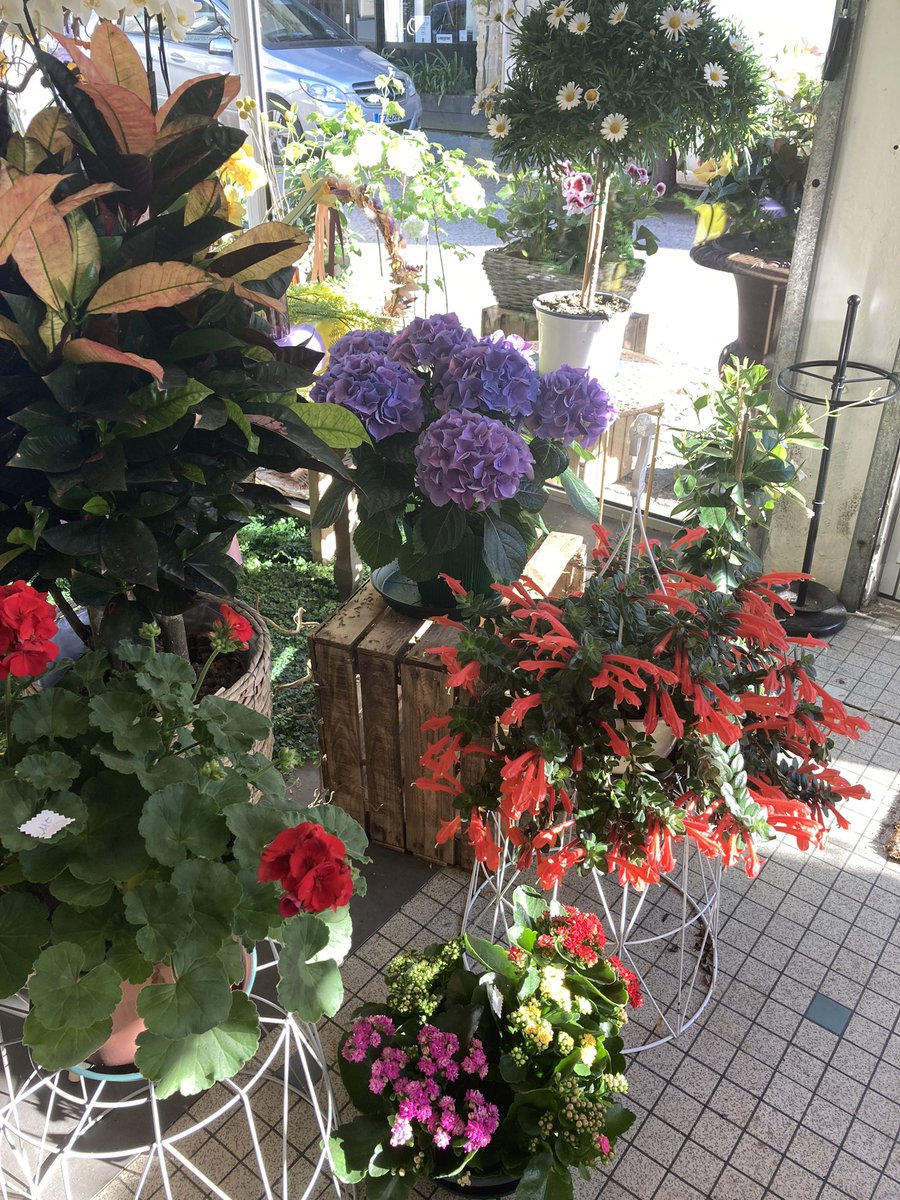 Trip to the flower shop #Enfrance #writingretreat @ChezCastillon