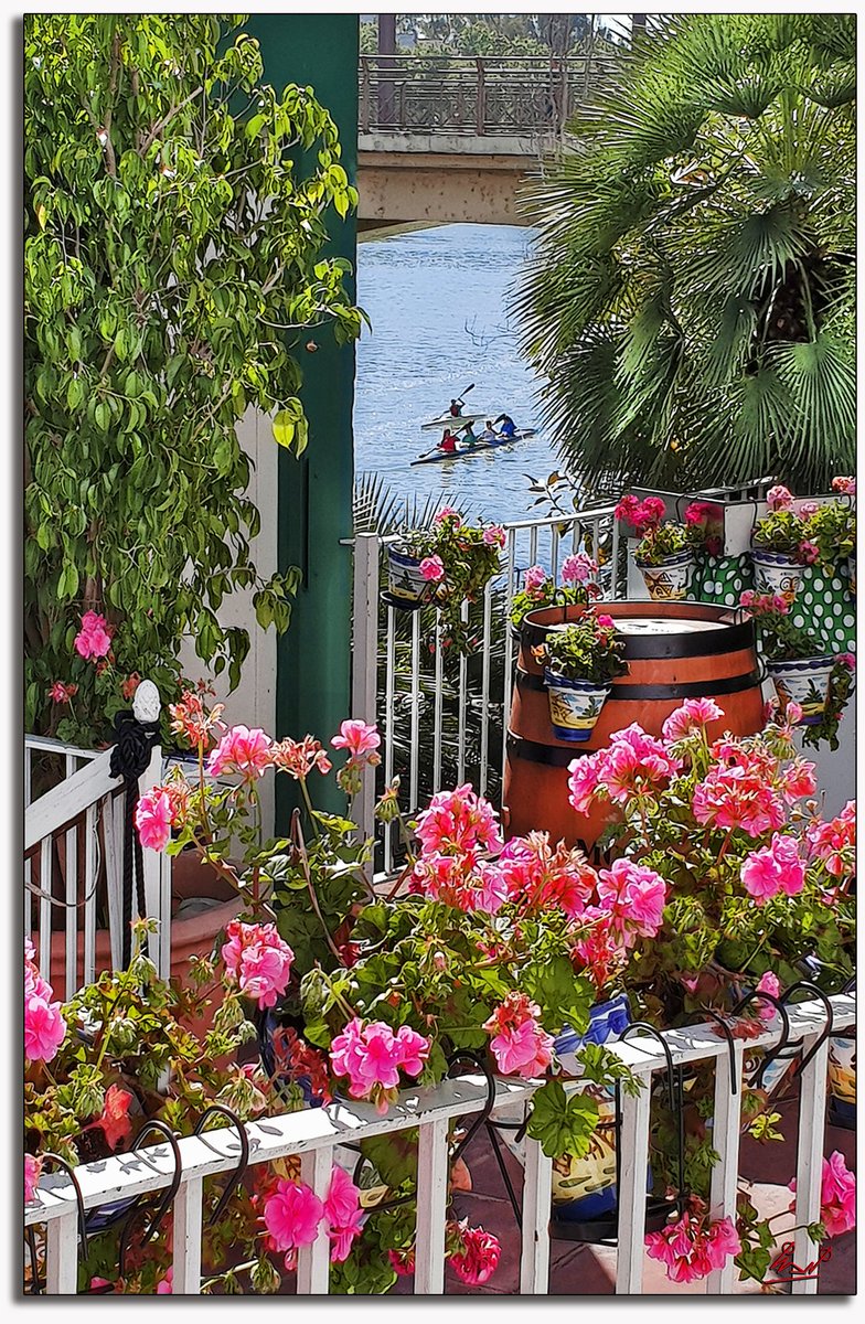 Sevilla en primavera es luz, colorido y aromas. @Feria_deAbril #FelizFinde #Sevilla #Triana #Macarena #Andalucíahoy #Andalucía