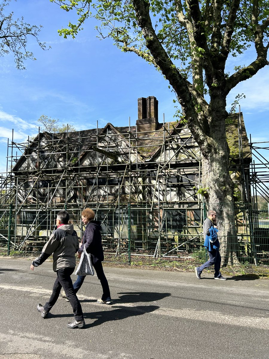 GoldenLionBrum tweet media