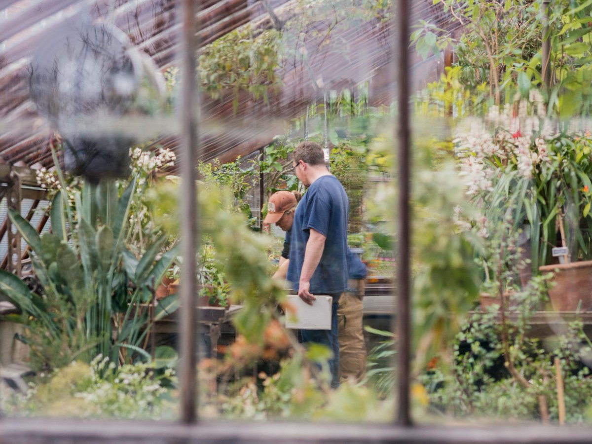 Job vacancy announcement! We are hiring for a Head of Plant Collections. Do you have a passion for plants? Are you looking to make the next step in your career? Apply via our website to join our friendly team. 🌱 Closes: Sunday 28 April. #horticulturejobs #vacancy #hiring