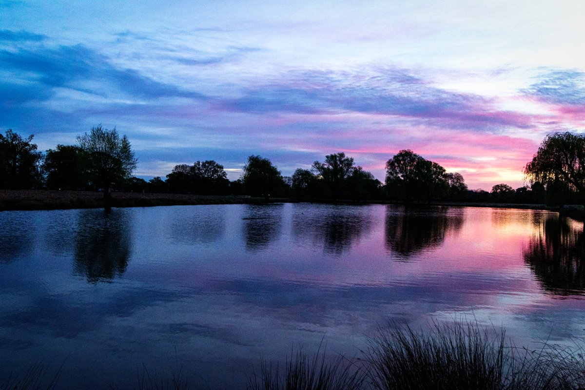 A pretty pastel sunrise to round off the working week. #BushyPark 12.04.24 @theroyalparks @TWmagazines @Teddington_Town @TeddingtonNub @SallyWeather @itvlondon @Visit_Richmond1 @twickerati