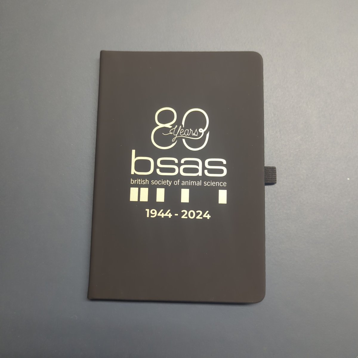 Also celebrating BSAS 80 years - 1944 to 2024. @BSAS_org  #BSAS2024