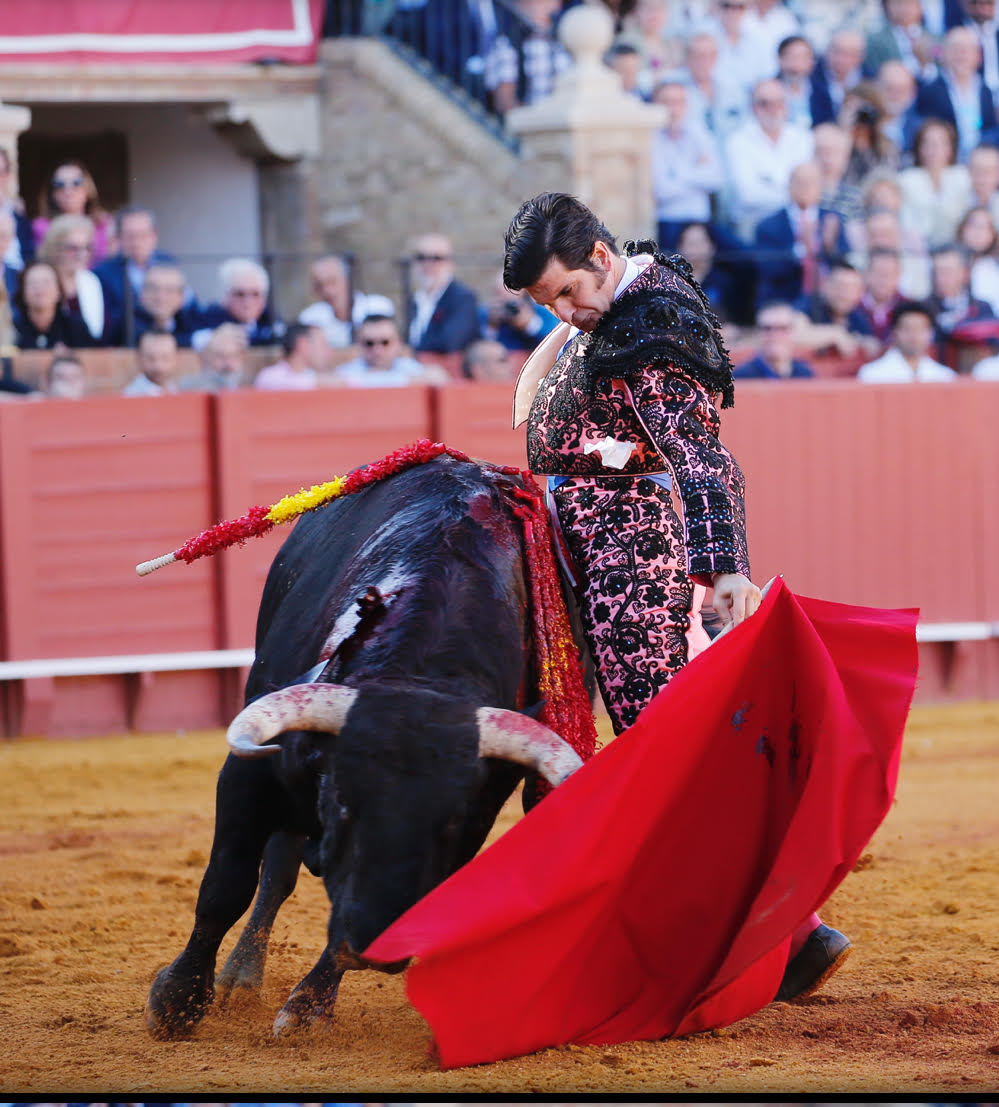 Mi articulo de la corrida de ayer en Sevilla La dificultad de elegir toros de lidia ignaciosanchezmejias.es/index.php/2024… 📷Maestranzapages
