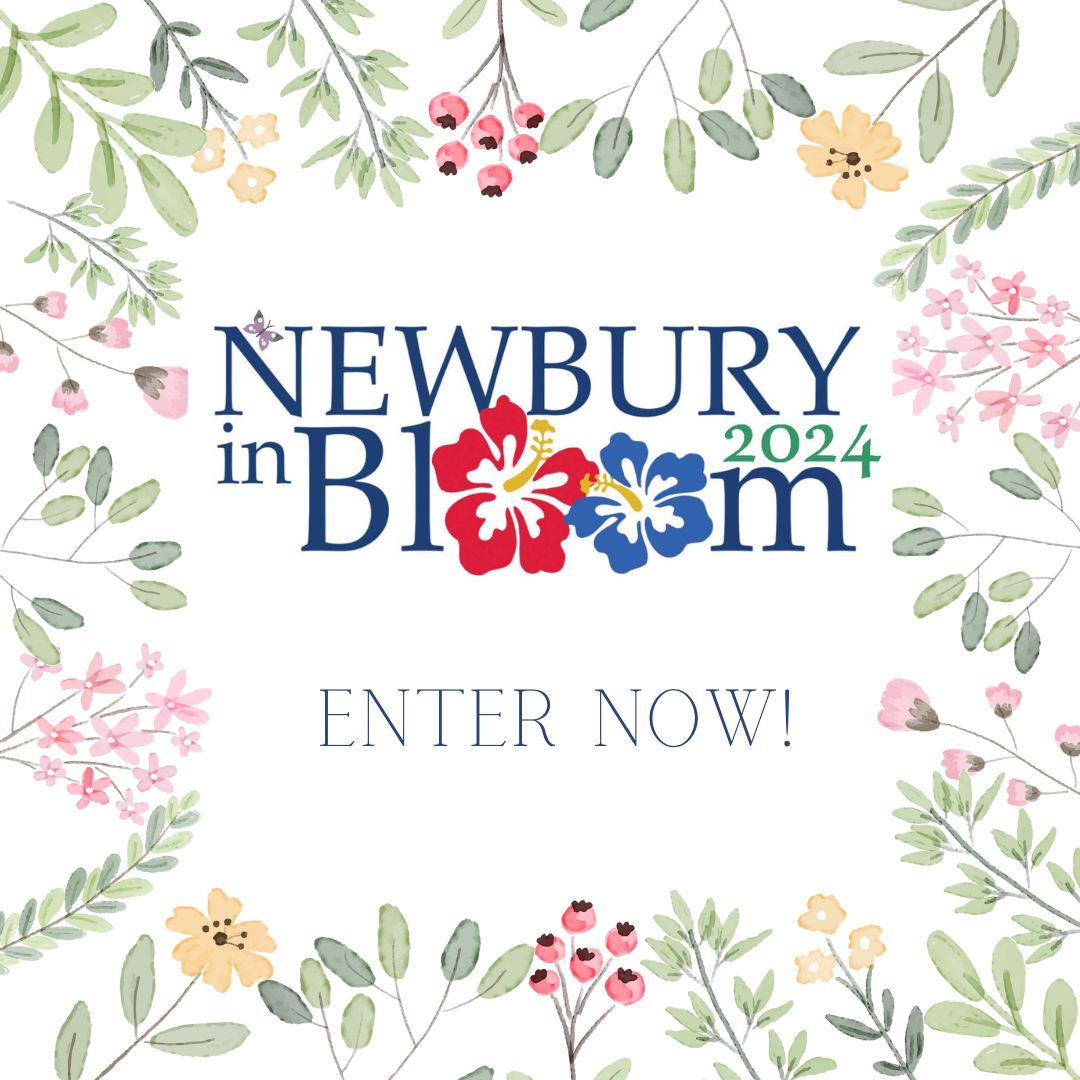 Calling all green-fingered residents! 🌸🌿🌷🌳 You have just six weeks to submit an entry to Newbury in Bloom 2024. There are seven different award categories, so projects of all shapes and sizes are encouraged to be submitted. newbury.gov.uk/services/newbu…