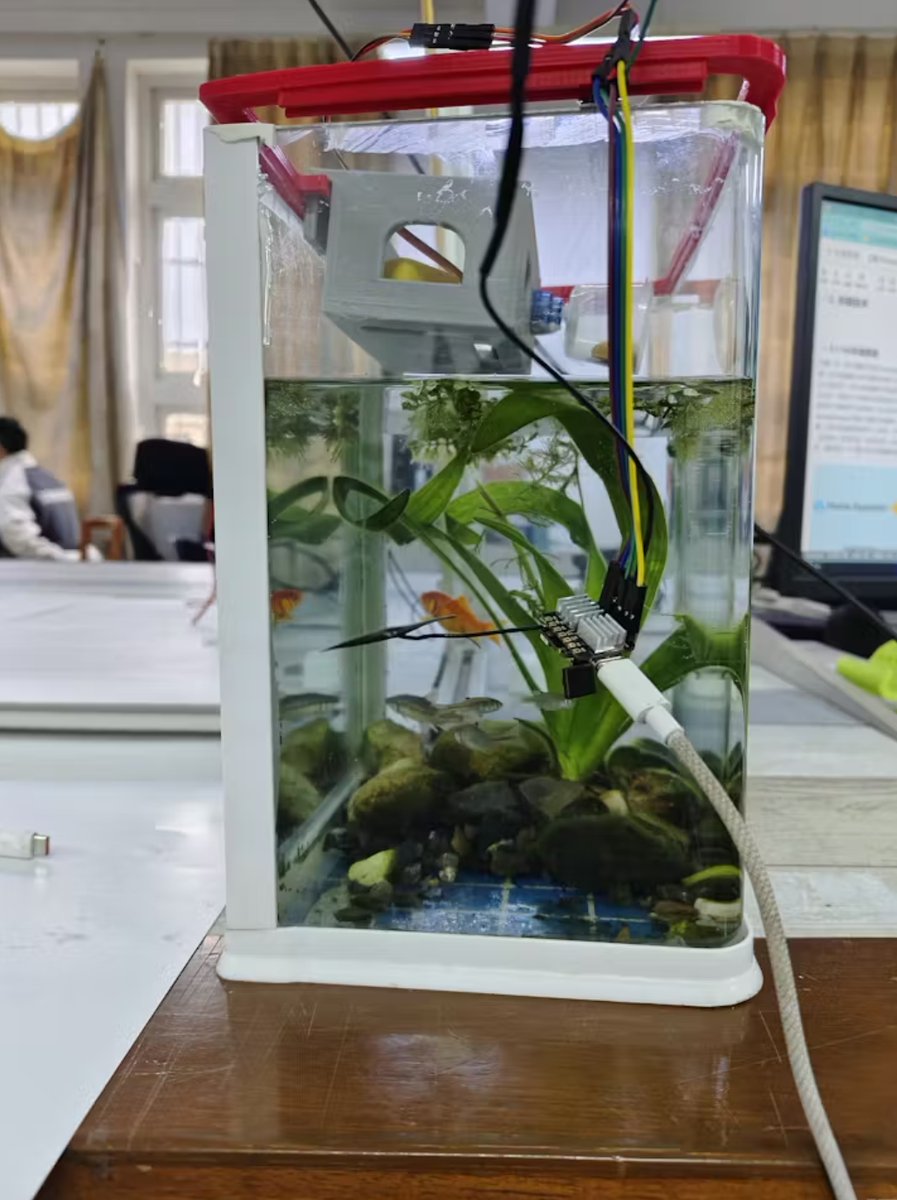 This tutorial explores using the #SeeedXIAO ESP32-S3 design an automated, @home_assistant (HA)-connected smart fish tank system. The system will integrate automatic feeding, environmental monitoring, real-time video monitoring, voice control, remote management, etc., to make the…