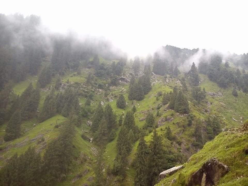 Barot Valley A Hidden Gem in Himalaya #Himachal