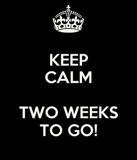 💥Just 2⃣ weeks to go!💥 ⚽️Archbishops 🆚 Dane Court GS 🏆@kentschools_fa U18 Girls Silver Jubilee Cup Final