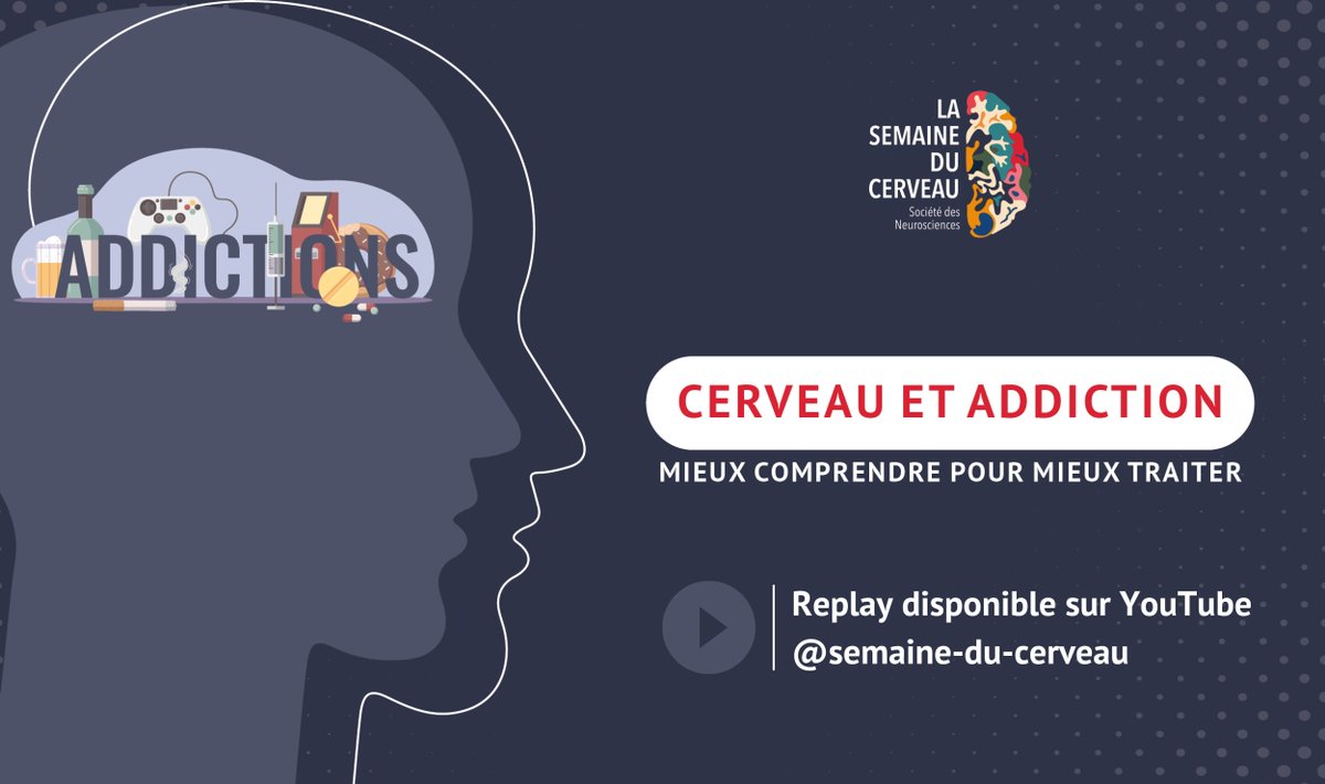 Vous avez manqué la conférence inaugurale de la Semaine du Cerveau ? 🧠 #SDC2024 Retrouvez-la en replay dès à présent sur notre chaîne YouTube 👉 cutt.ly/Qw4NoRMz Merci aux intervenant·e·s, ainsi qu'à @Neuro_Bordeaux et @univbordeaux