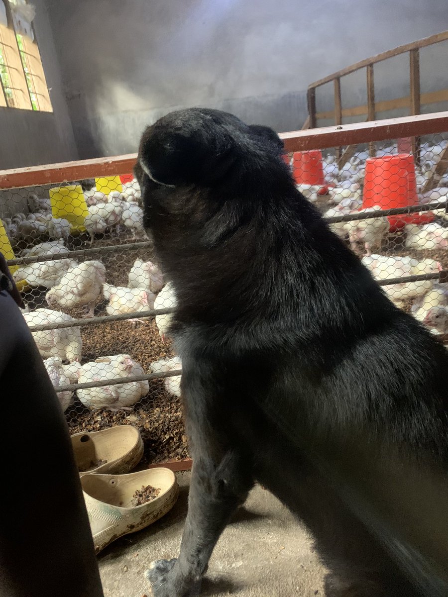 Namulwana Hilda Victoria tweet media