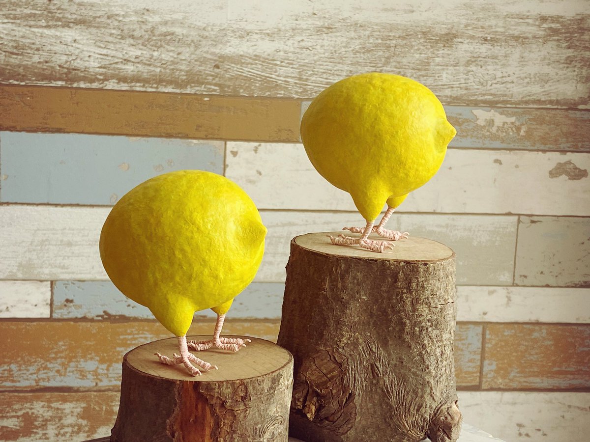 amamiz's tweet image. レモンインコ完成🍋
もっと光の良い時に撮り直します……。

レモンなのに鳥のおけつだと思うと可愛く見える不思議。