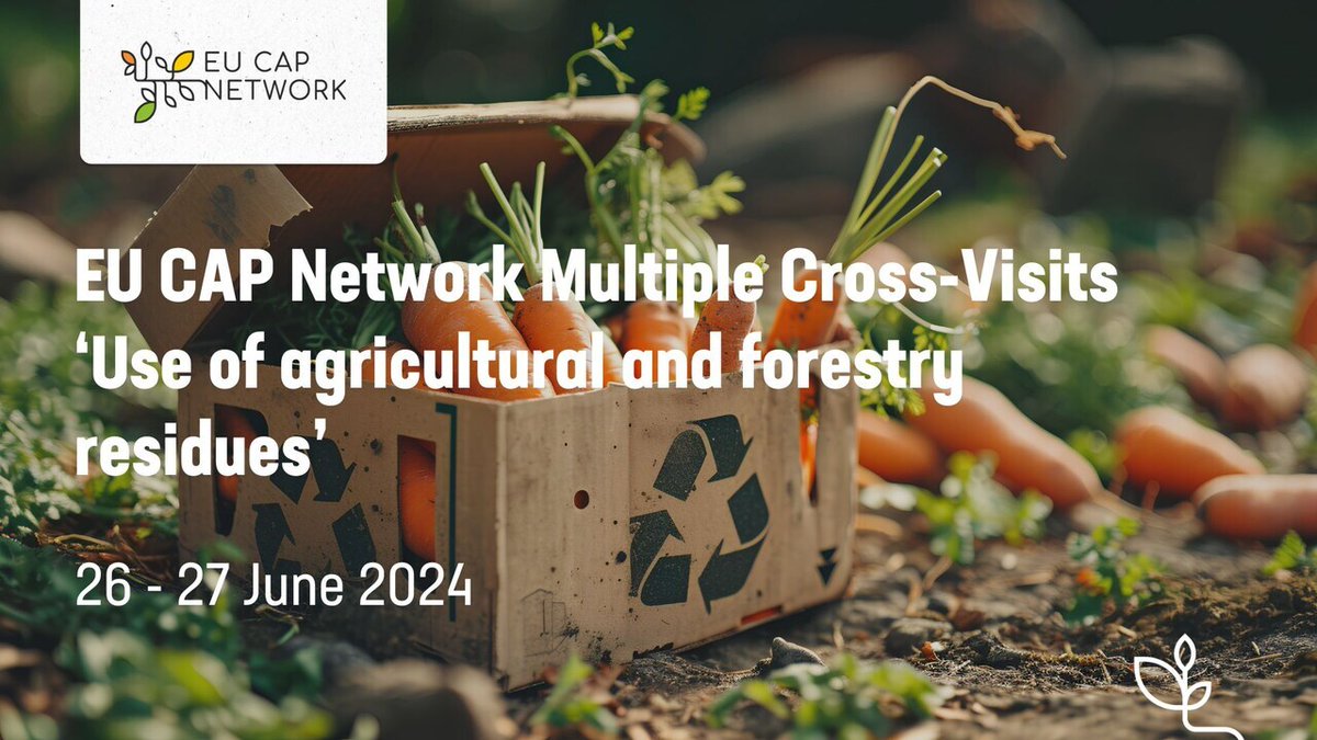 Just two days left! Apply now for the #EUCAPNetwork cross-visit ‘Use of agricultural and forestry residues’! 🍃 Don't miss out on this chance to exchange knowledge exchange and learn from other #OperationalGroups! 👉bit.ly/3PZP7Ot