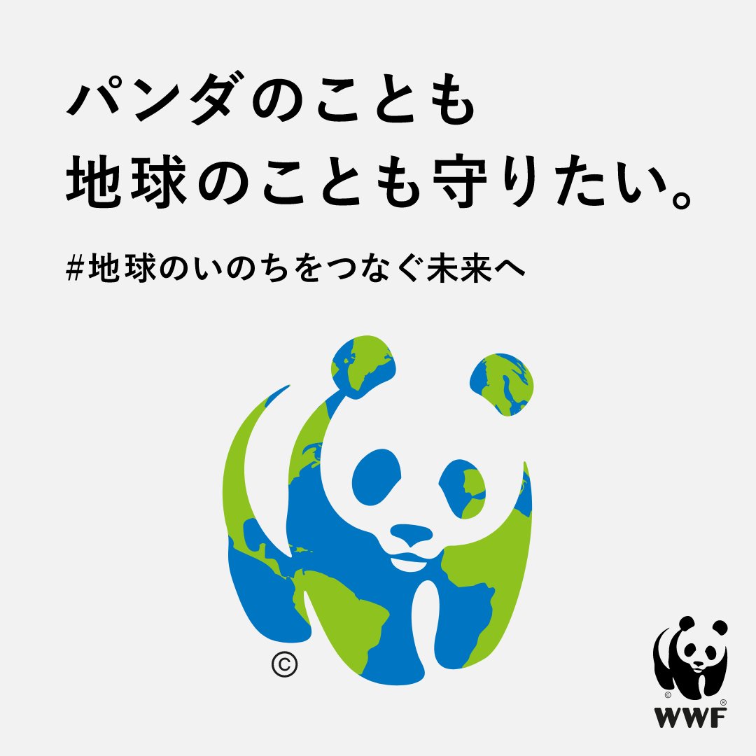 この度WWFジャパンは「一番関心のある動物の危機はどれ？シェアしてつなげようキャンペーン」を開始🌎 抽選でWWFグッズプレゼントも🎁 詳しくは： x.gd/3rkjD #wwf #wwfjapan #地球のいのちをつなぐ未来へ #sdgs #持続可能な社会