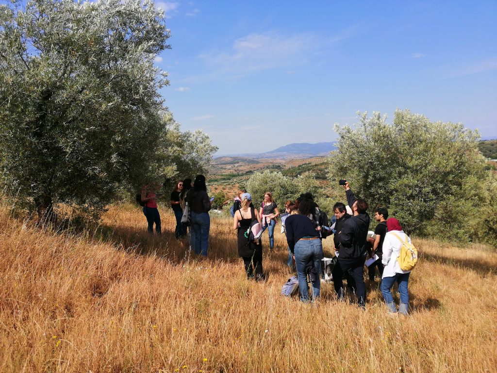 The @NOVATERRA19 project is pioneering novel, integrated, and sustainable strategies to reduce the use and adverse impacts of contentious Plant Protection Products (PPPs) in Mediterranean #olivegroves and #vineyards. Read more: cutt.ly/Rw7eFUal #pesticides #soilprotection