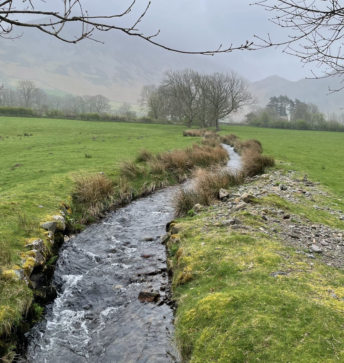 Getting my lungs full of fresh air yesterday in a circular walk round Ennerdale Water. Part of my training towards my big hike of 96 miles and a jolly up Ben Nevis in June raising funds for @EVHandJigsaw 

justgiving.com/page/lynne-mal…