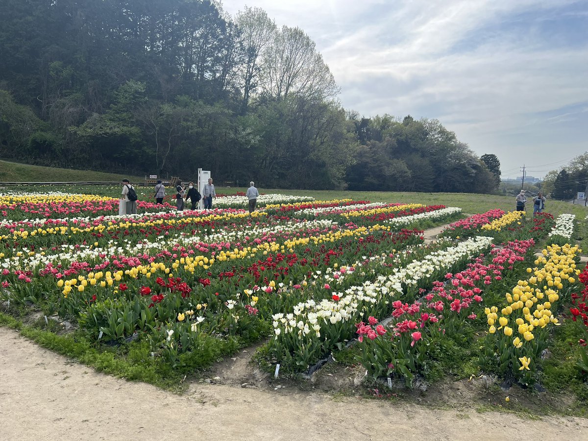 本日は休みで奥殿陣屋に行きました🏎️
きらりのロケ地と初めて知り、落ち着くロケーションでした☺️