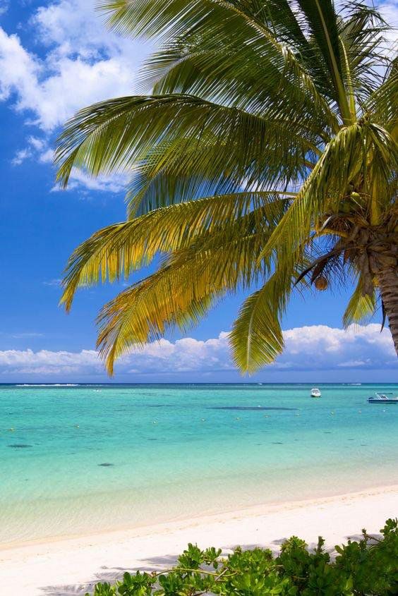 Vitamin SEA in Mauritius #travelphotography