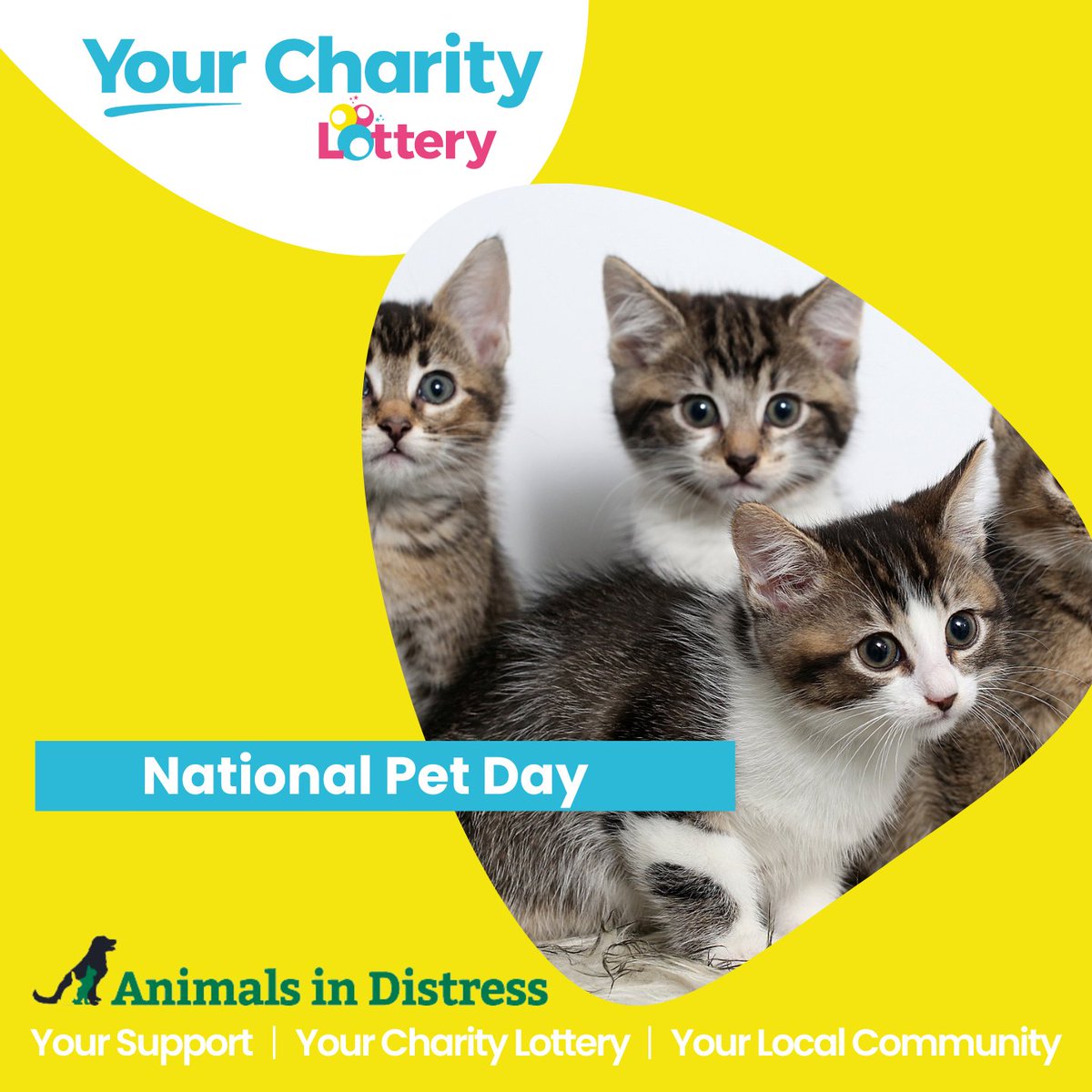 Happy National Pet Day 🐈🐩🐇🐭

ow.ly/1uZu50RcVf4

#nationalpetday #animalsindistress #charity