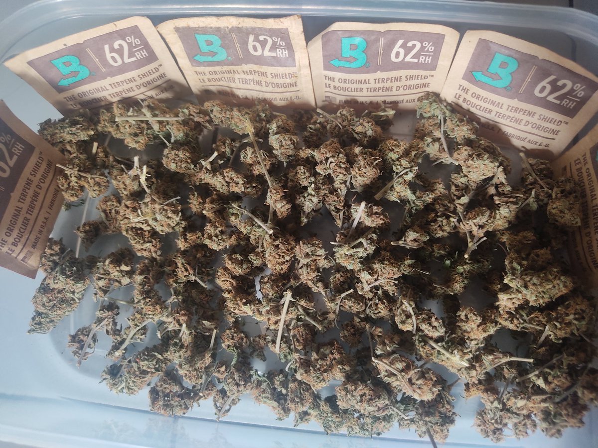 viewkim's tweet image. ขีด 4500 งานปลูกเองจากลำปาง thc 30%+ ของตอนนี้มาขายกทม ส่งได้ทั้งแกร็ป ทั้งไลน์แมน กรุงเทพ ปริมณฑล ems ฟรีทั่วไทย   line viewson5x
#กัญชา #กัญชาราคาถูก #กัญชาog #ลลkaแมว #OurSehunShineDay #ตลาดนัดลาบูบู้ #ฟ่านปิงปิง #นุนิวมาร้องข้ามกําแพง #จําจนตาย