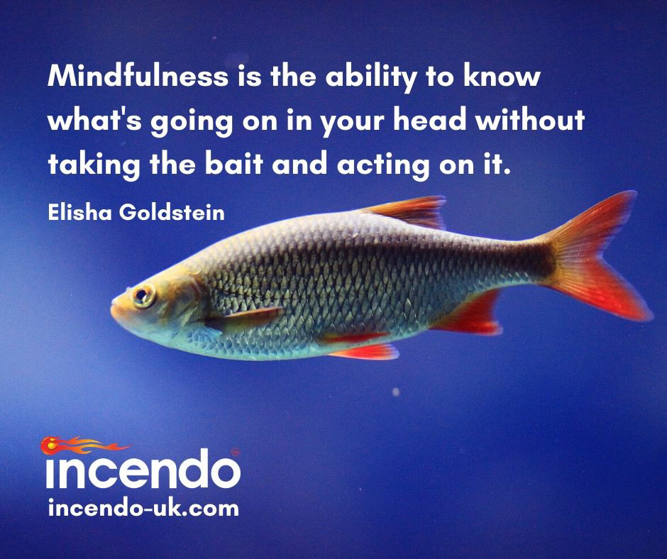 According to scientific studies, #meditation practise for just 13 minutes a day for 8 weeks significantly improves memory, mood and #emotional control. Learn some #mindfulness for the real world with Incendo: incendo-uk.com/services/mindf… 👈 #feelgoodfriday