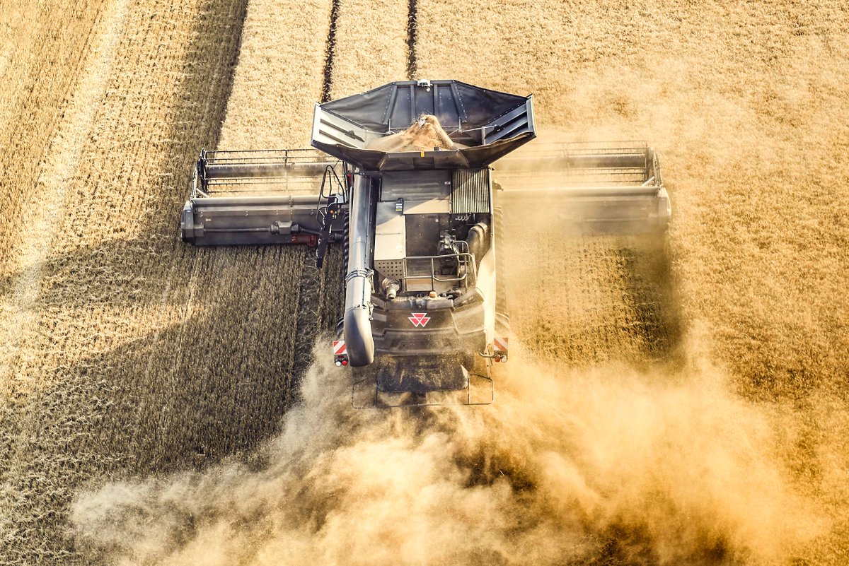 🌾MF IDEAL, designed to meet the needs of the most demanding harvests. 🙌Reach a new level with this combine, which excels in every area to deliver superb grain and straw quality. Talk with your #MasseyFerguson Dealer and discover more ➡️ bit.ly/49waNsk