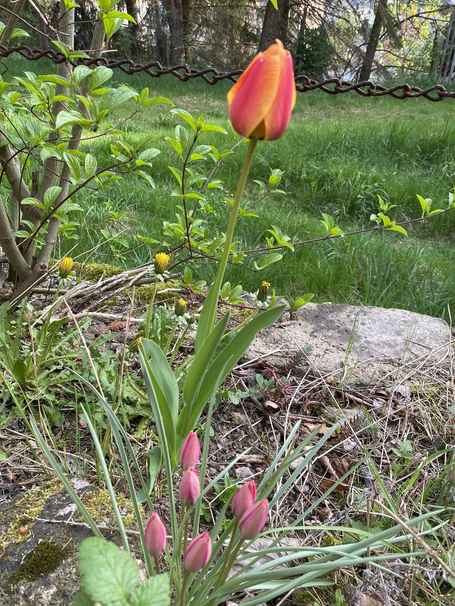 Guten Morgen, liebe Leute! 🙋‍♀️ Habt einen guten Tag! Die Kinder sind angereist von weit her! Wir hatten schon gestern eine wunderbare Zeit zusammen! Leider rennt die Zeit noch mehr als sonst! Habts auch gut! ❤️