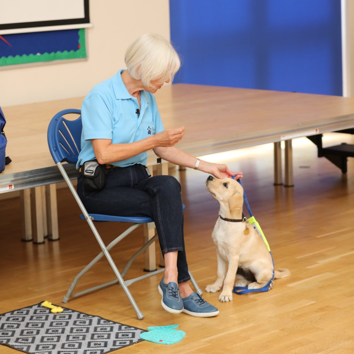 Hands up if you have a question for Sue and Joany! 🙋 Learning about sight loss, working dogs, the senses, assistive technology, or careers is brought to life with a free visit from our education team 👉 bit.ly/GuideDogsEdu