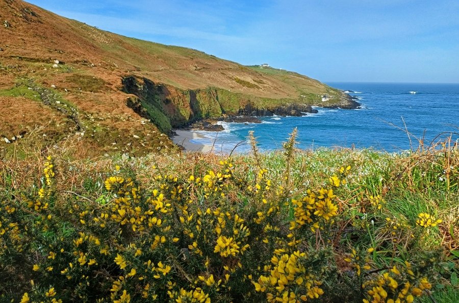 Reports of strange glowing ball of light in sky above Pendeen with ability to alter people's mood (😢➡️😀)  @cornishchoughs @TinCoastNT @geevormuseum @swcoastpath