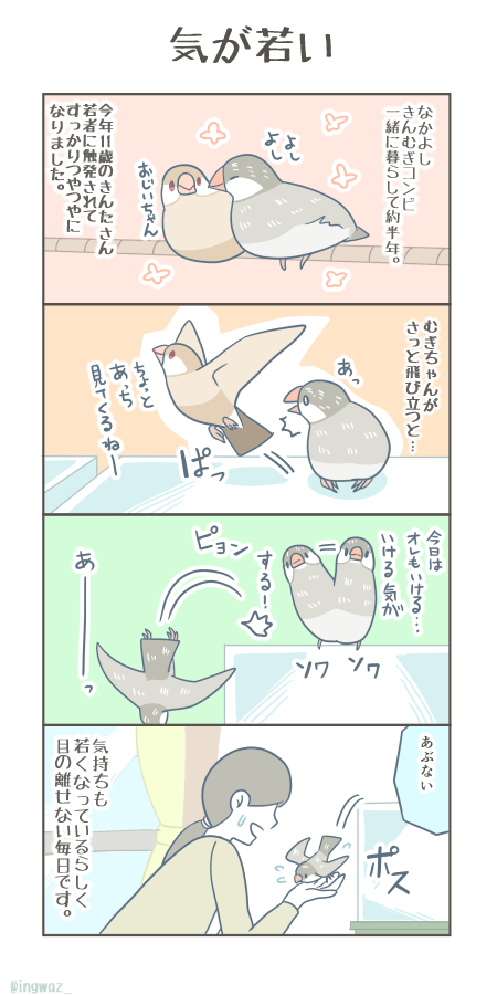 気が若い

#漫画が読めるハッシュタグ #Buncho #文鳥 