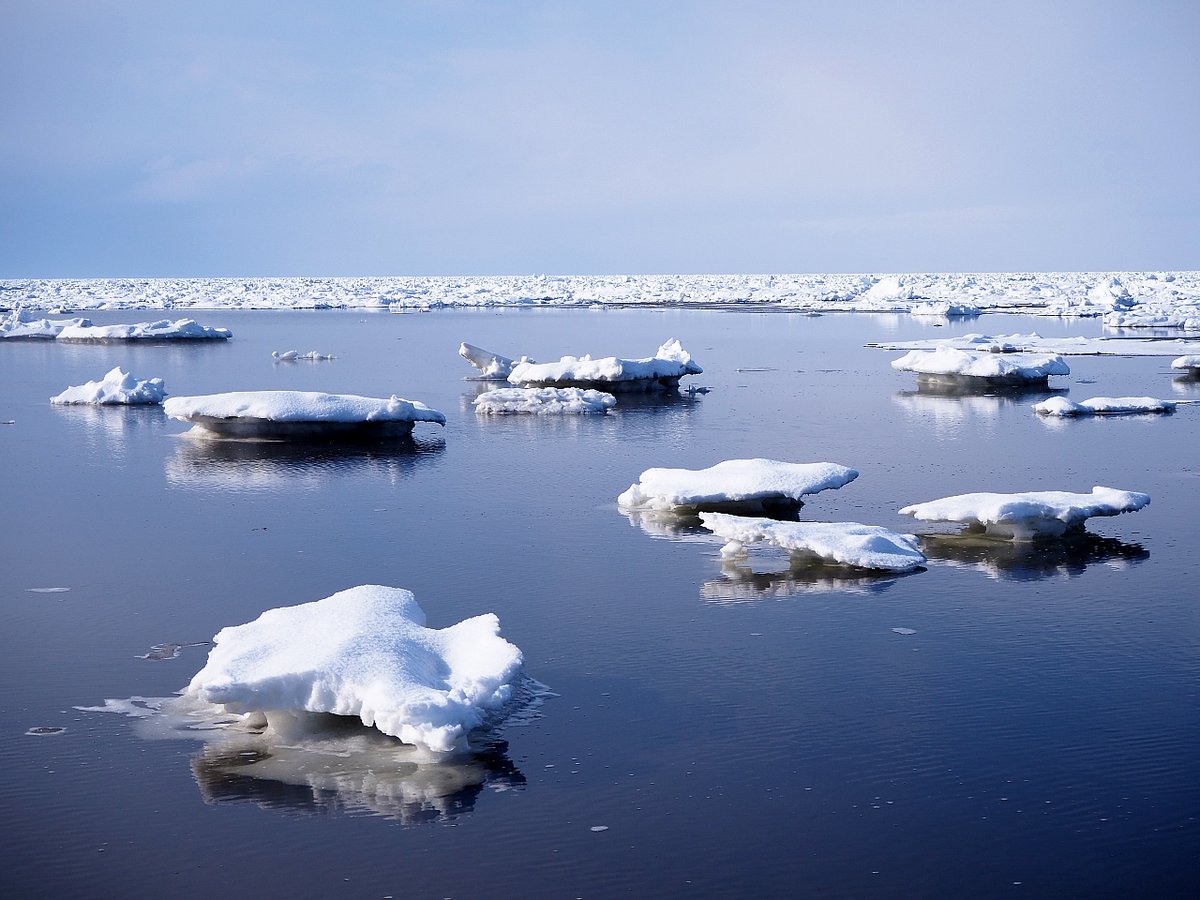 ありがとう流氷。 さようなら流氷。 流氷が去ると、いよいよオホーツクも春に向けて動き出します。 #流氷 #北海道