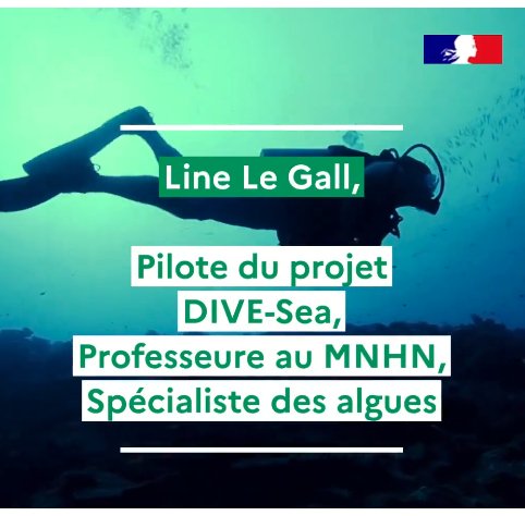 Interview de Line Le Gall professeure @ISYEB_UMR @Le_Museum pour le lancement de 𝐃𝐈𝐕𝐄-𝐒𝐞𝐚 (collecte des organismes marin en vue de leur séquençage) le volet du @PEPR_ATLASea co-piloté @CNRS @CEA_Officiel 🤿🪸mnhn.fr/fr/actualites/…