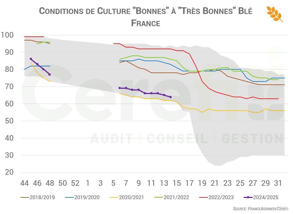 Céréfi tweet media