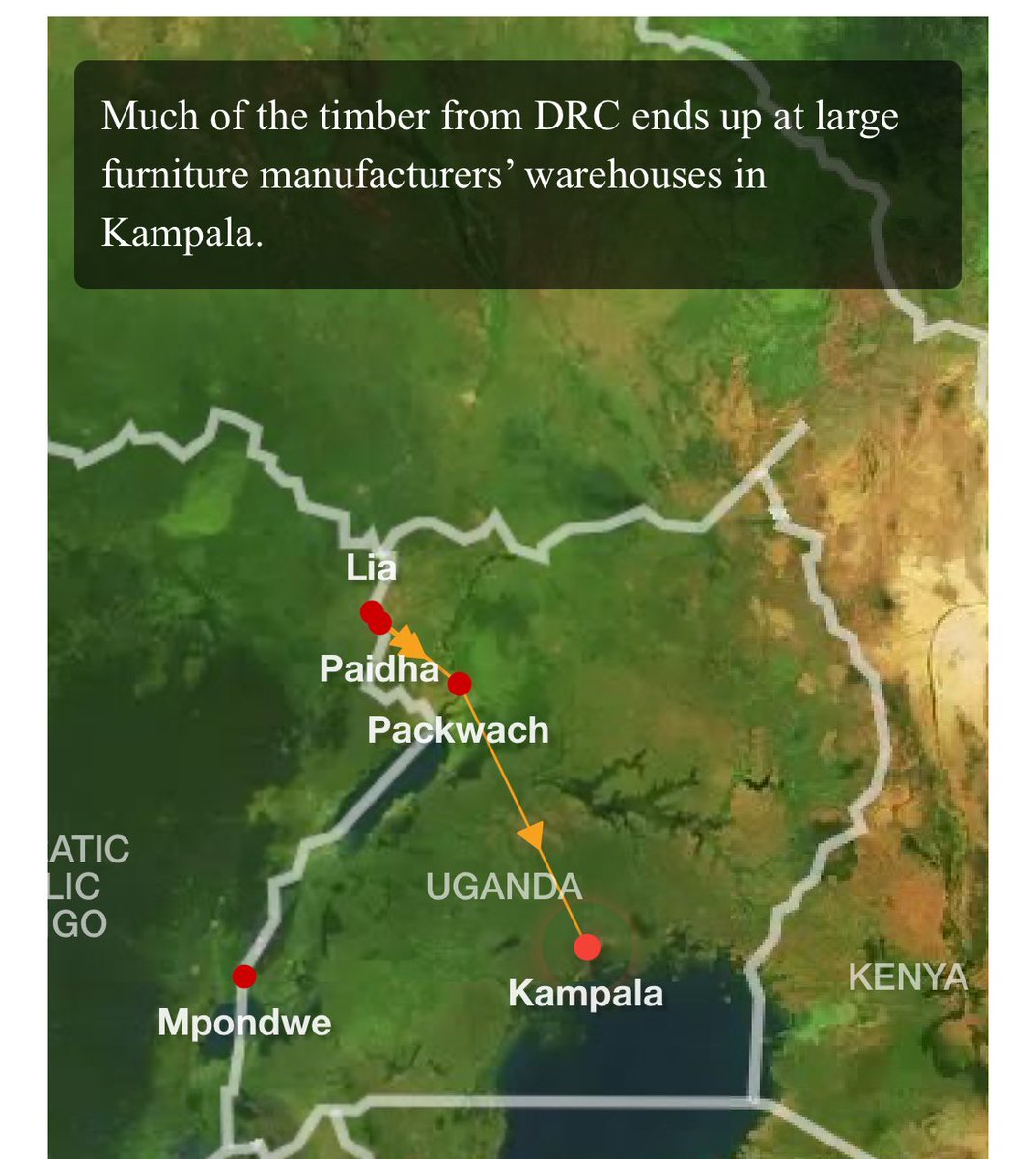 Fantastic investigation by @Johnblanshe_m exposing the intricate supply chain that fuels illegal timber trafficking from DRC to Uganda & beyond. In-depth analysis of history, data and satellite images alongside meticulous shoe leather reporting: must read.theafricareport.com/342361/how-con…