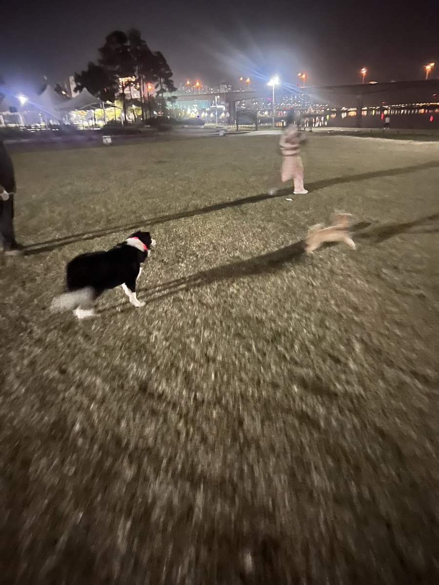 코루🍊 tweet media