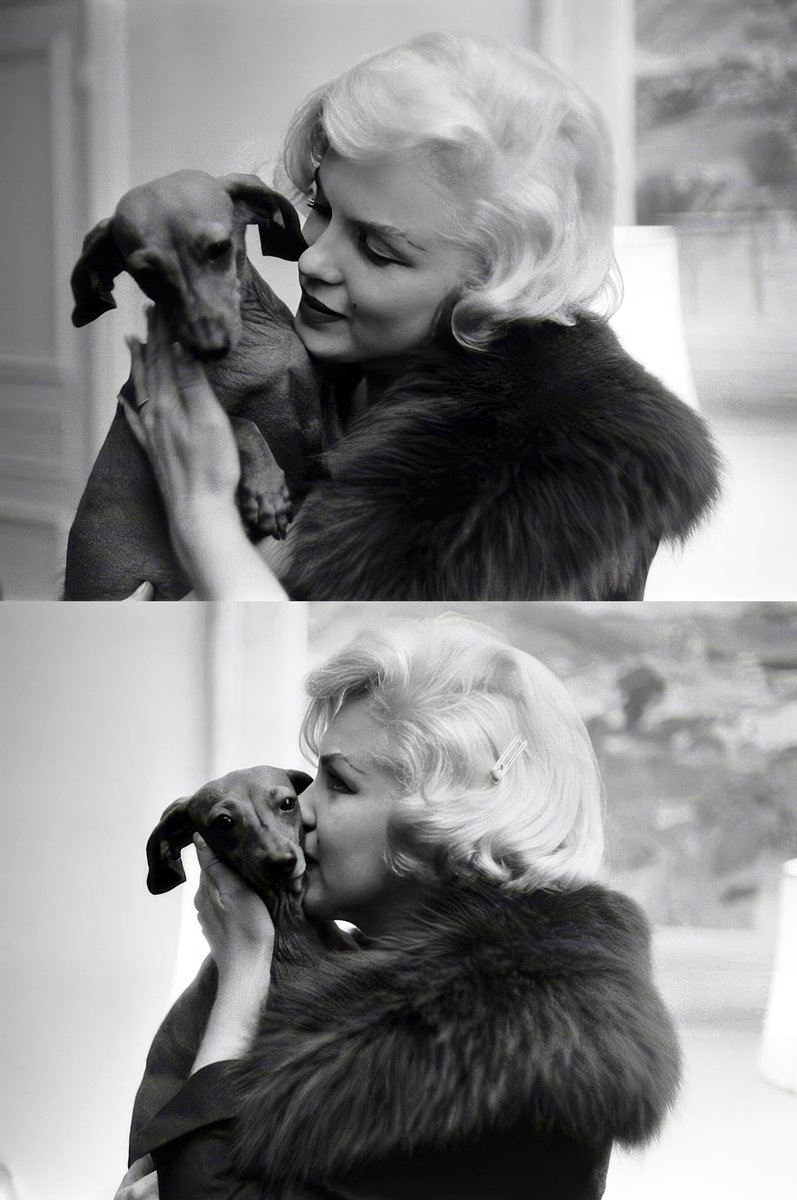 Marilyn Monroe, New York, 1959. Marilyn Monroe, an icon of beauty and vulnerability, shared a deep affinity for dogs throughout her life. For Monroe, dogs provided a sense of normality and unconditional love amid her life under the scrutinising public eye. They were her…