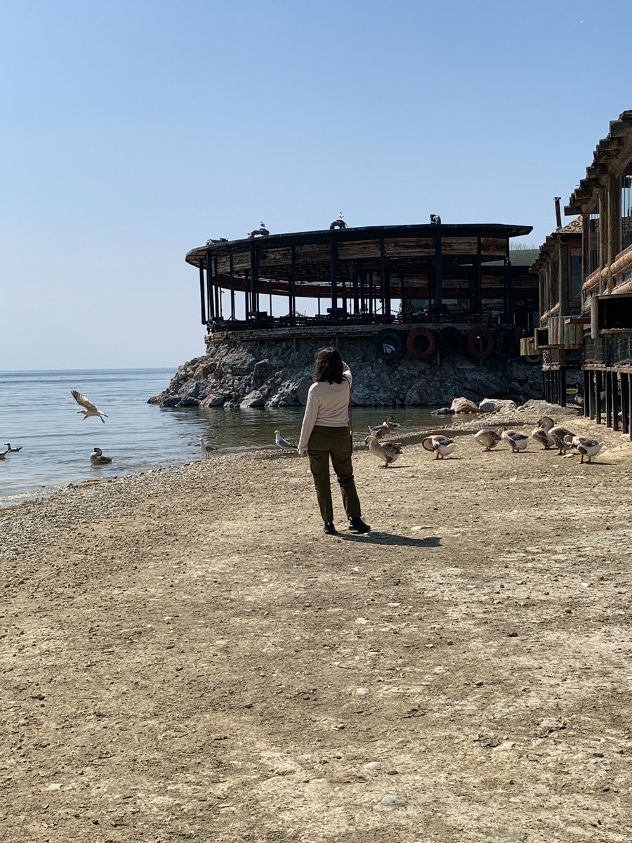 YaseminSomuncu's tweet photo. Bu göl #İznikGölü'dür.
Durgundur.
Karanlıktır.
Derindir.
Bir kuyu suyu gibi
içindedir dağların.
Bizim burada göller
dumanlıdırlar.
Balıklarının eti yavan olur,
sazlıklarından ısıtma gelir,
ve göl insanı
sakalına ak düşmeden ölür.
Şeyh Bedreddin Destanı
#askania #nazimhikmetran https://t.co/Ev79Hx2Zo5