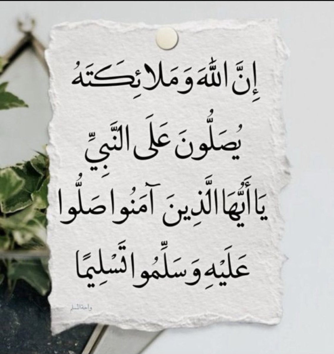 #جمعة_مباركة #يوم_Iلجمعه #يوم_الجمعة #ساعة_استجابة اللهم بارك لنا في ذكرك ولا تشغلنا بغيرك اللهم اشملنا بعفوك ومغفرتُك واجعلنا ممّن نظرت لهُم فرضيت عنهم اللهم صل وسلم وبارك على نبينا محمد وعلى آله وصحبه أجمعين ﷺ🙏🏻🌹