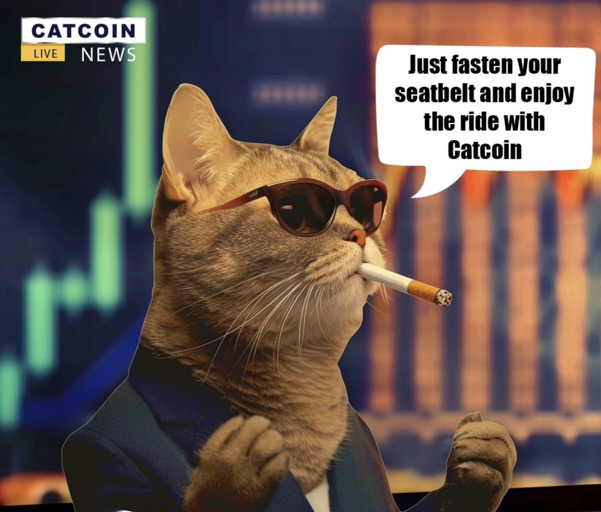 CatCoin tweet media