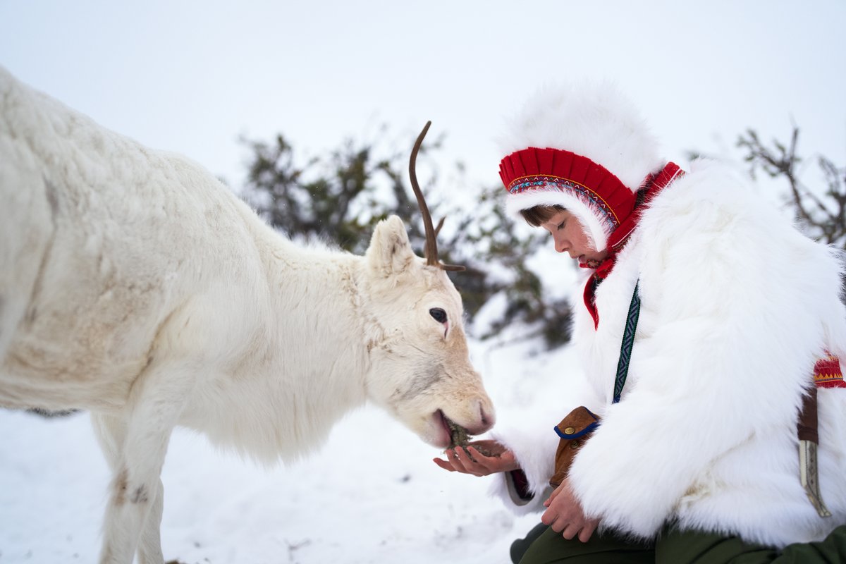 Netflix Japan | ネットフリックス tweet media