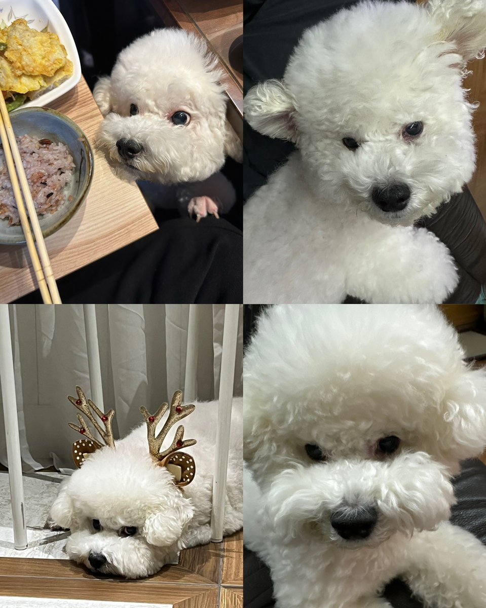 yyayehet's tweet photo. Happy Birthday to cutie maknae Sehuniโจ๐๐ฅณ thank you for being my comfort person and come back safely soon๐ซถ๐ปi hope you have the bestest day today๐์ฌ๋ํด์โค๏ธ
HAPPY BIRTHDAY SEHUN
#OurSehunShineDay
#์ธํ์ด์_31๋ฒ์งธ_๋ด๋ฐ๋
#HappySehunDay
#์ค์ธํ #์์์ธํ
#SehunDay https://t.co/cgFmNRdDnW