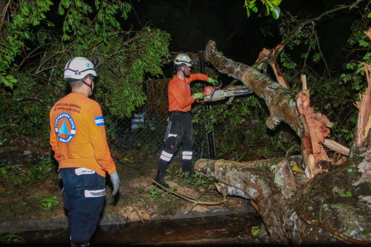 #DePaís Esta noche, el #EquipoTácticoOperativo realizó remoción de árbol caído de gran magnitud que obstaculizaba el paso en el cantón Santa Lucía, El Carmen, Cuscatlán. Fotos: @PROCIVILSV