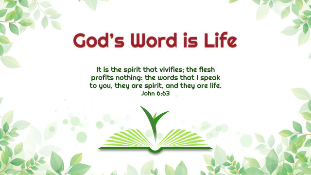 📖John 6:63🕊 It is the spirit that quickeneth; the flesh profiteth nothing: the words that I speak unto you, they are spirit, and they are life. 'The truth comes from the world of man, but the truth among men has been passed on through Christ'.