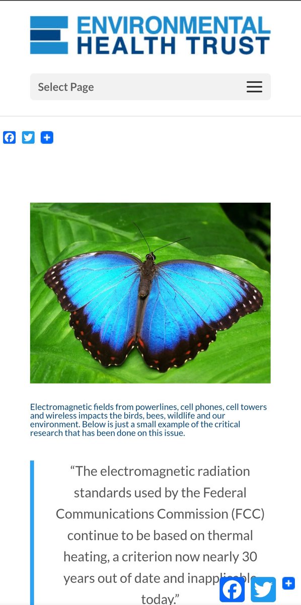 Bees, Birds, Butterflies and Wildlife

#EMR

An excellent read by the Environmental Health Trust on Electromagnetic Field Radiation  -

ehtrust.org/science/bees-b…

@shymadjen