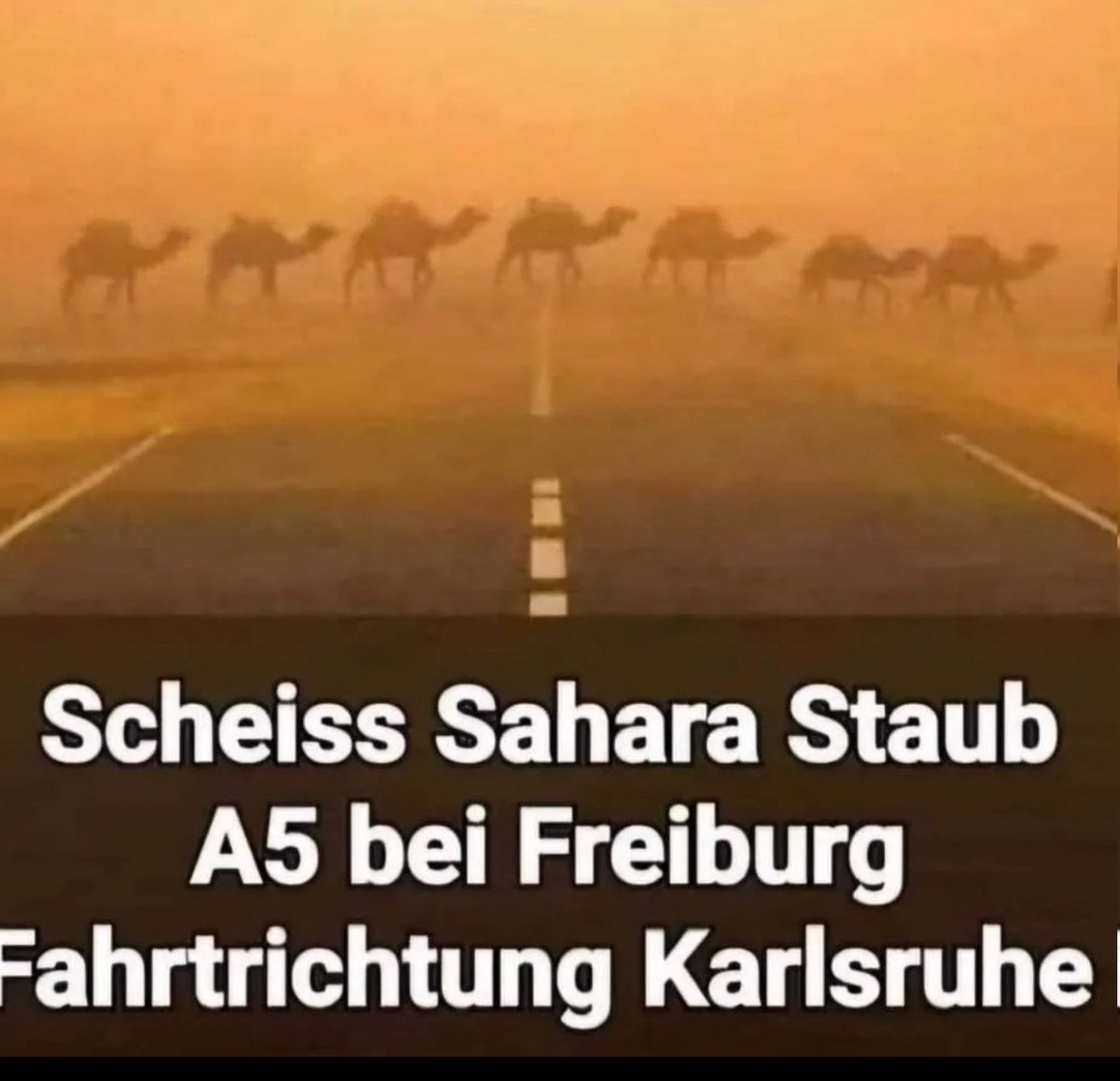 Guten Morgen ☕️ wünsche einen schönen Freitag. Sogar das deutsche Wetter macht alles damit sich unsere gewollten oder nicht gewollten Gäste wie zuhause fühlen.👇 Kommt gut und sicher durch Staub und anderen Dreck den wir täglich erleben müssen.🙋‍♂️