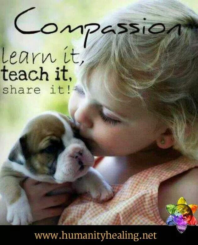 RT @KariJoys #Compassion: Learn it, teach it, share it!   

#JoyTrain #Joy #Kindness #MentalHealth #Mindfulness #Quote #IAM #Mindset #SaturdayMorning #SaturdayMotivation #SaturdayThoughts #ThinkBIGSundayWithMarsha