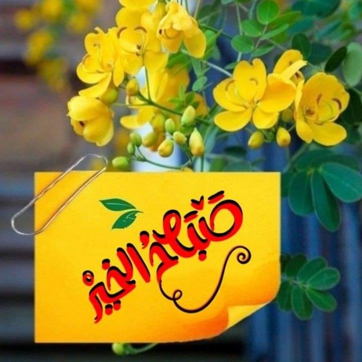 samiasmoor's tweet photo. @zeinabsaleh588 صباح الخير والفل https://t.co/l3sPt6SB2L