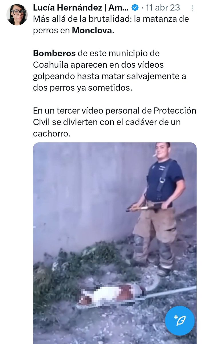 ¿Justicia?

Hace un año se filtró un video de dos bomberos de Monclova donde brutalmente mataron dos perros ya sometidos.

Les destrozaron la cabeza mientras que se divertían.

En un video adicional personal de protección civil juega con un cadáver de un cachorro.

Pese a las