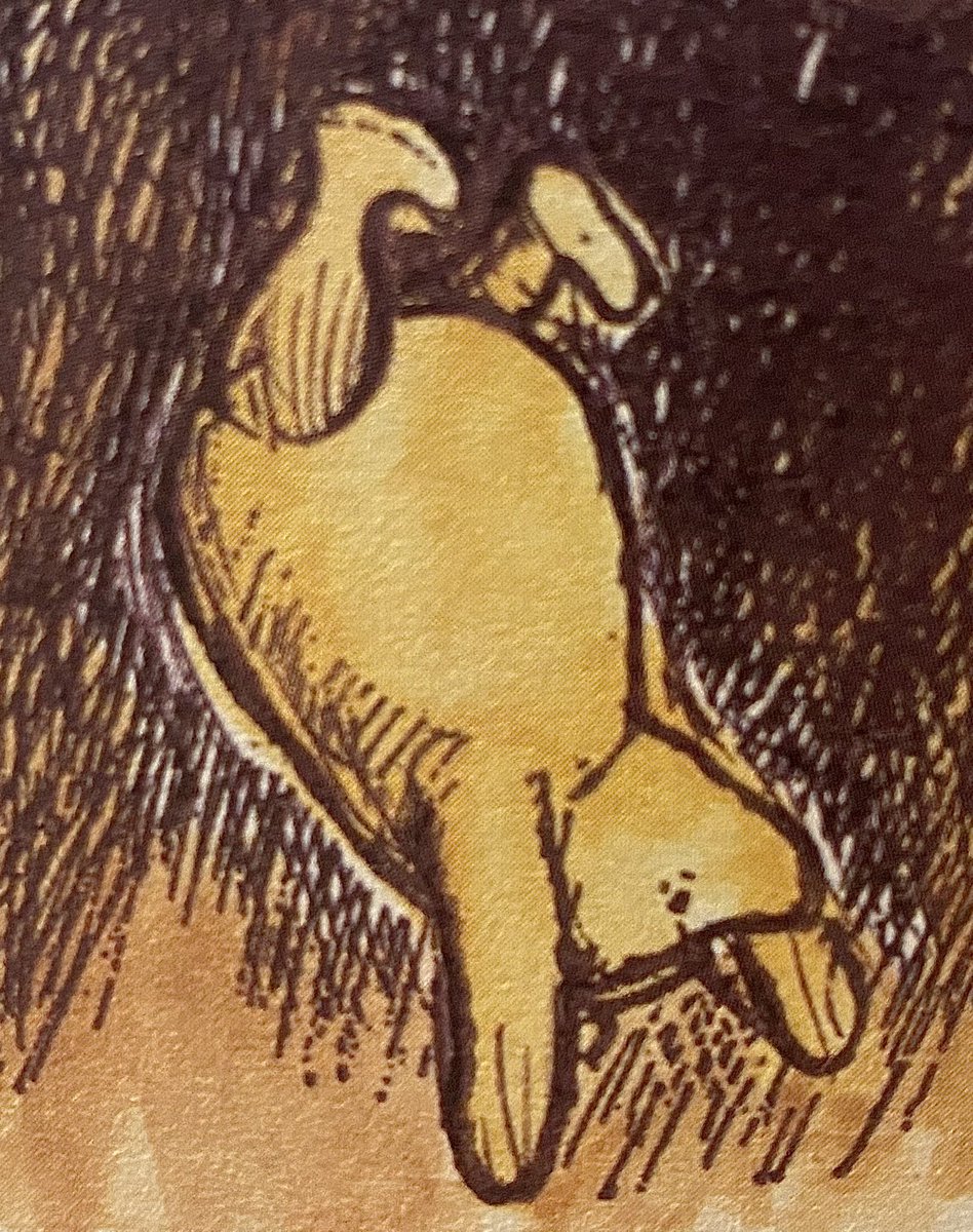 Pooh was so busy not looking where he was going that he stepped on a piece of the Forest which had been left out by mistake; and he only had time to think to himself: 
“I’m flying. What Owl does. 
I wonder how you stop -” when he stopped. BUMP! ~A.A.Milne #FridayFeeling