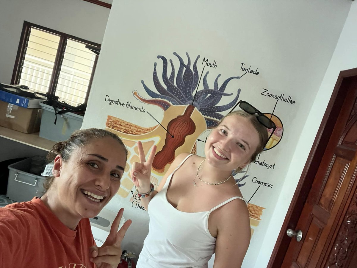 Big congratulations to our, Ida for successfully completing Marine Conservationist Internships Black Turtle Dive. The Master Conservationist Internship is introduction to coral reef ecology, the coral reef ecosystem. ecokohtao.com #diving #conservation #diver #kohtao