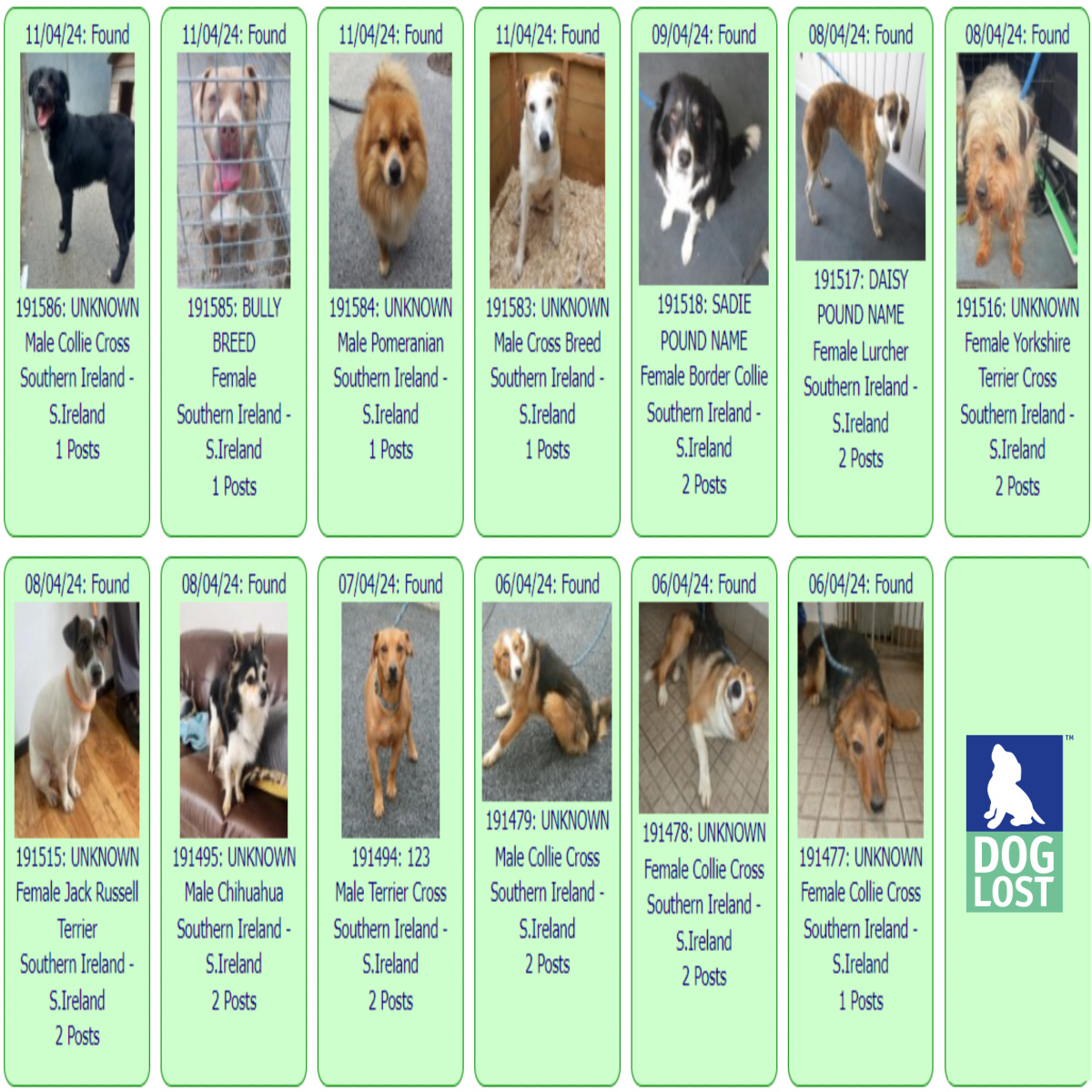 #FOUND #DOGS IRELAND * April 11th ~ April 6th 2024 These #FoundDogs are on the @DogLost_UK site as being FOUND in #Ireland If you see your dog below, go to doglost.co.uk and put the ID NUMBER (shown under the photo) into the search menu for more details